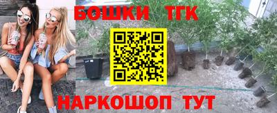 spice Пенза