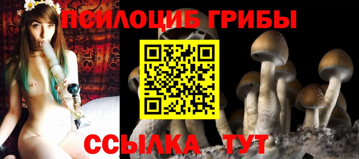 Псилоцибиновые грибы Psilocybe  Вход с VPN  Галлюциногенные грибы мухоморы  Анапа 